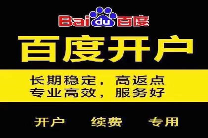 某公司如何通过SEM实现精准营销——从策略到执行的完整案例